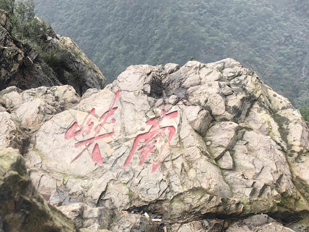 張懷民攜東坡夜游錦城，探秘夜色中的“寶藏”景點！
