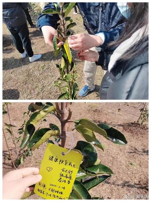 回顧 春風(fēng)十里，植此青綠”2025國(guó)風(fēng)親子植樹(shù)大會(huì),圓滿成功！