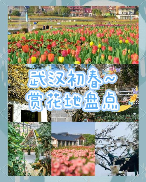 春日西岸怎么玩？三大藝術(shù)花海進(jìn)入盛花期！