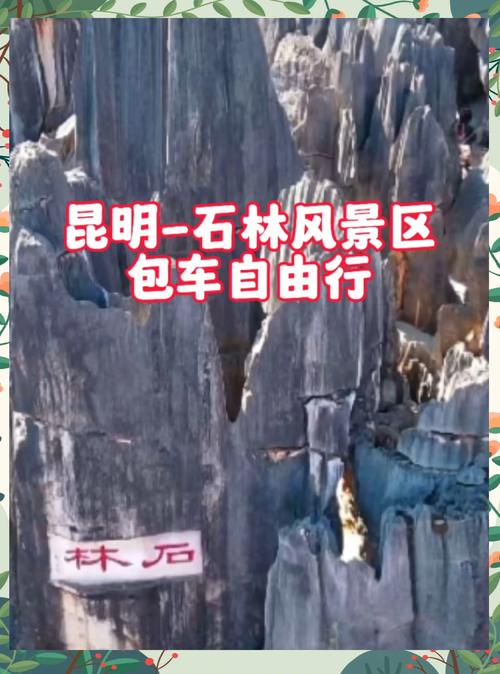 床車自駕游云南，逛景點(diǎn)馬不停蹄，今天進(jìn)石林景區(qū)