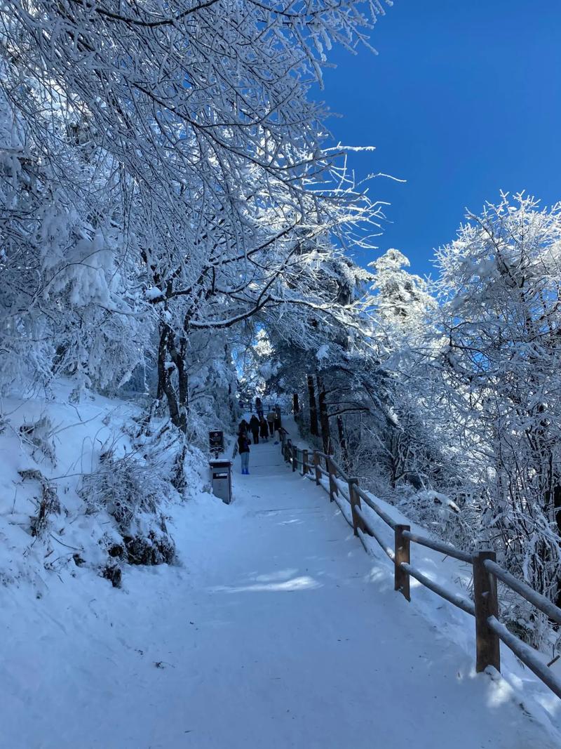 五一節(jié)在峨眉山頂玩雪 五一節(jié)在峨眉山頂玩雪，這是2023年