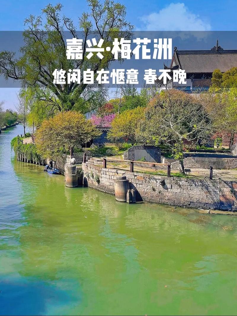 速?zèng)_！長(zhǎng)在“云”上的花海，免費(fèi)解鎖千年古鎮(zhèn)