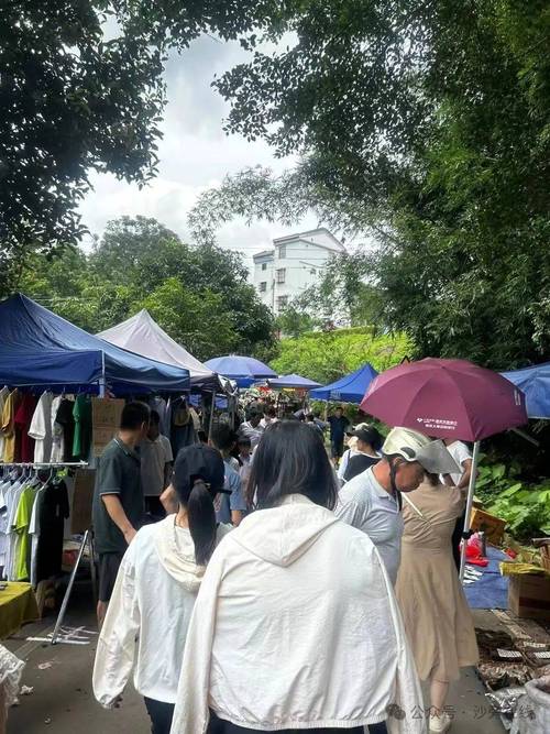 娘惹舞蹈、市集攤位…來(lái)翔安“圩”度美好假日