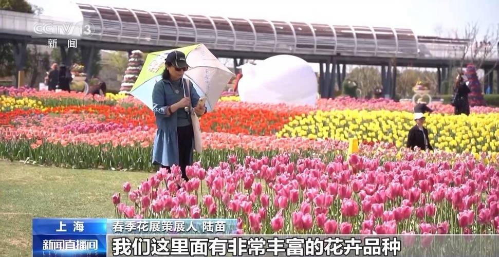 全國各地開啟賞花季 春日經(jīng)濟”創(chuàng)造消費新場景