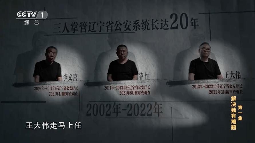 “空降”遼寧的副省長，被免職