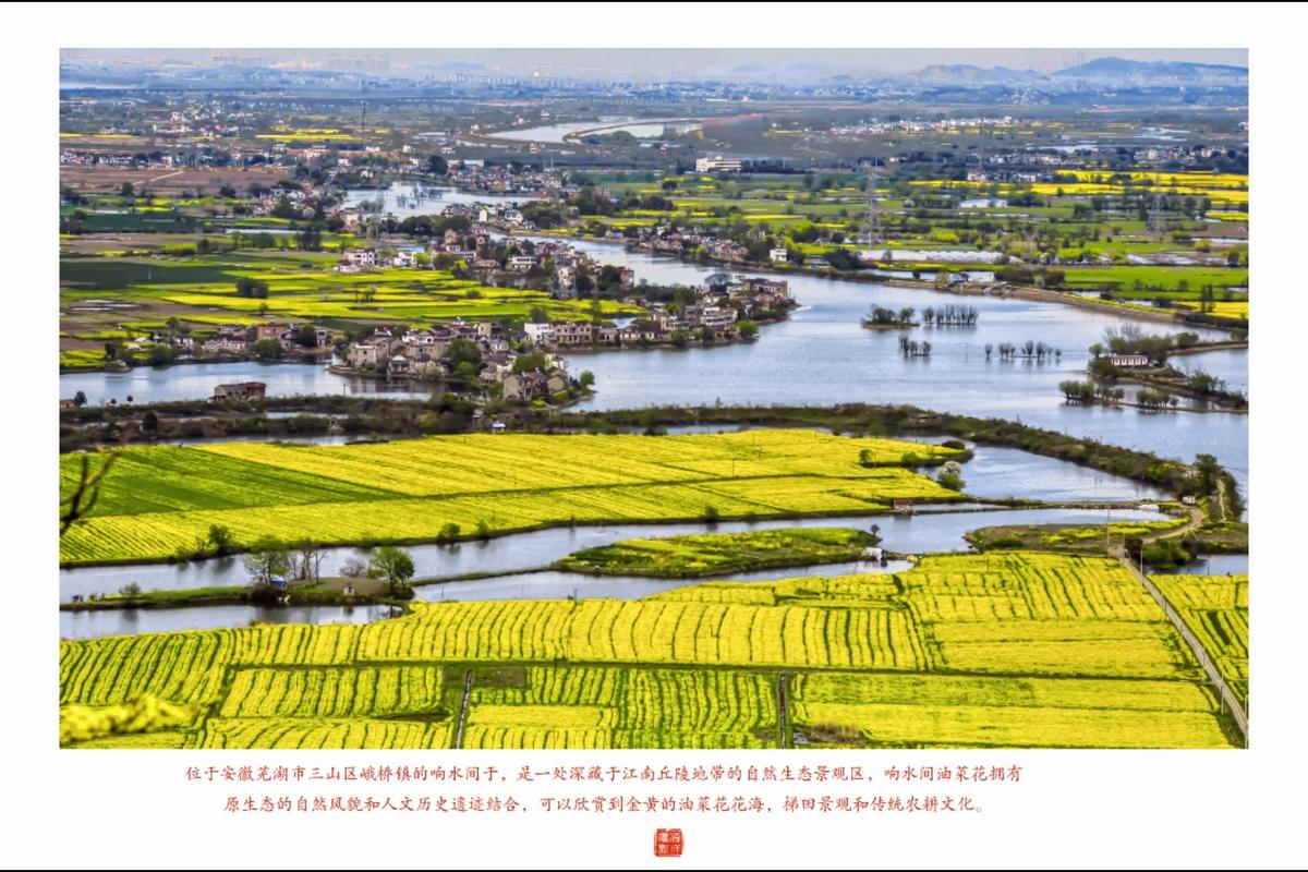 春回大地，如詩(shī)如畫(huà)的蕪湖響水油菜花。春回大地，萬(wàn)物復(fù)蘇