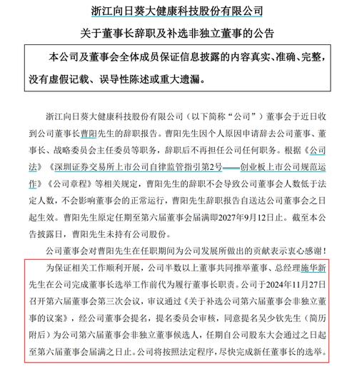 突發(fā)公告：董事長辭職