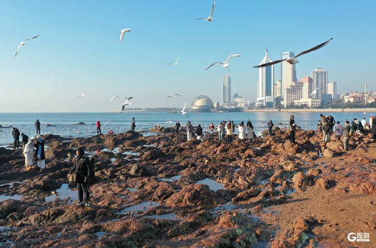 海濱城市風(fēng)光，高樓林立，沙灘人潮涌動，海鷗翱翔，盡享悠閑時光