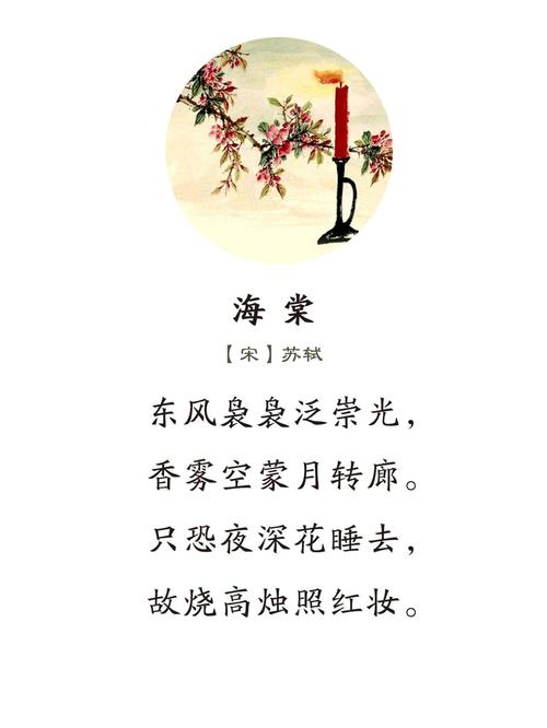 海棠年年開，今年更繁盛!雖然遇到了沙塵天氣，但海棠于我仍是熱