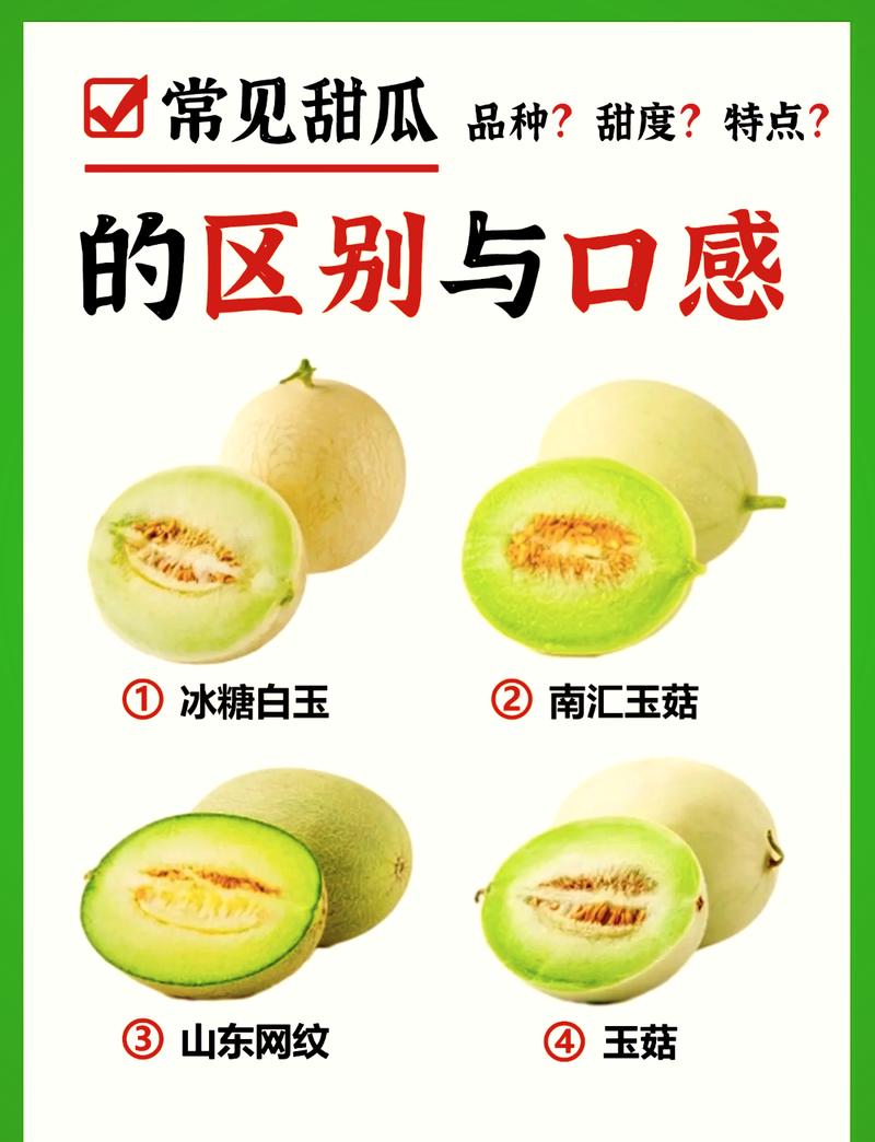 甜瓜季與您相約高官寨，3月28日不見不散