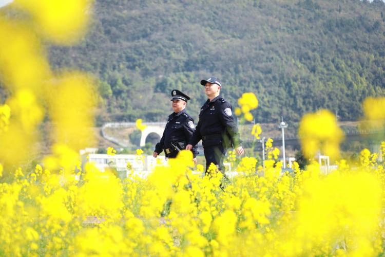 “春歸”賞花，警”色相伴