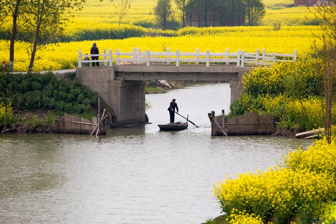 戴南鎮(zhèn)孫王村：兩條河邊棧道“串”起 百姓旅游景點”
