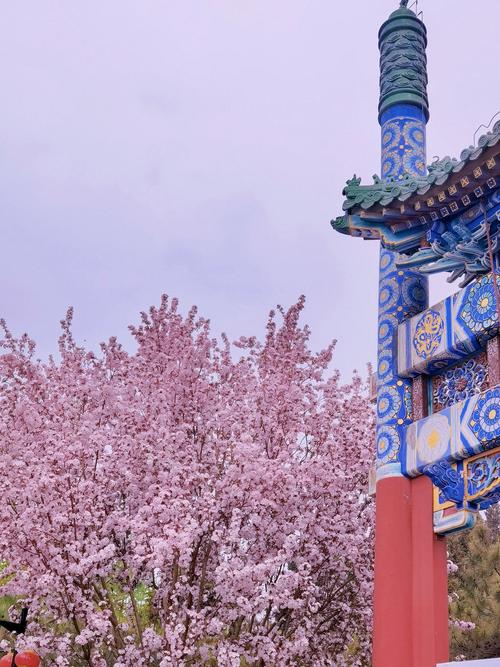 海棠花開！陶然亭公園海棠賞花全攻略→