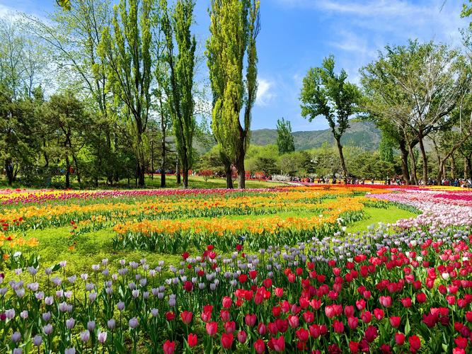 現(xiàn)在去國家植物園北園不光欣賞美景舉手還能拍出大片