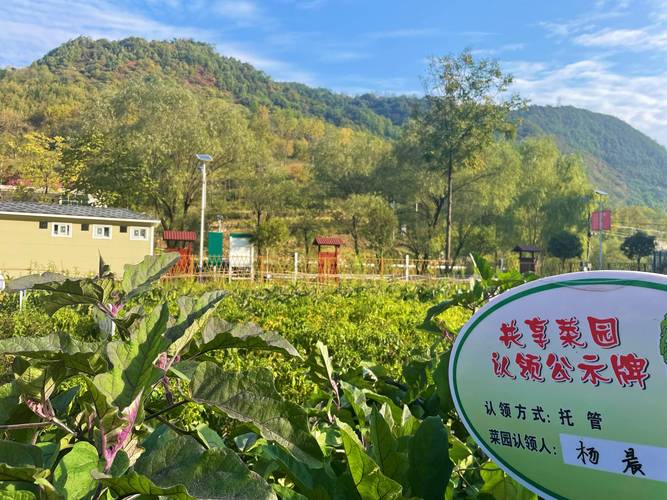 赫山區(qū)岳家橋鎮(zhèn)：最是一年春好處 露營踏青正當時