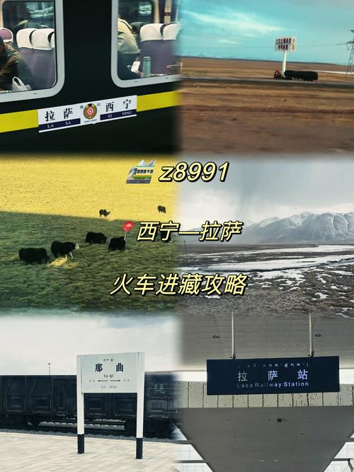 踏跡尋音：為什么說坐著火車去拉薩的川藏鐵路之艱辛難上加難