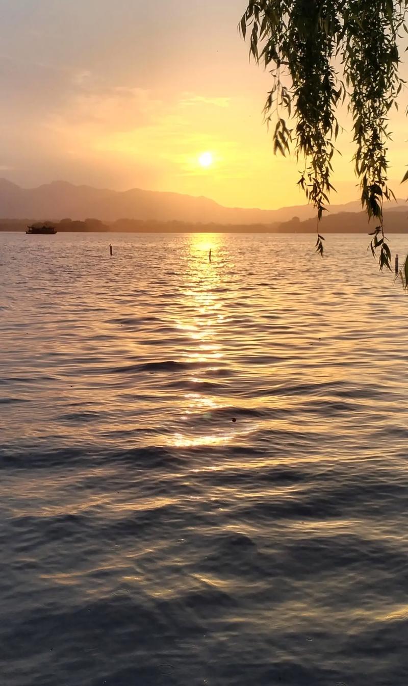#杭州西湖美景 手機(jī)隨拍分享 只羨鴛鴦不羨仙！