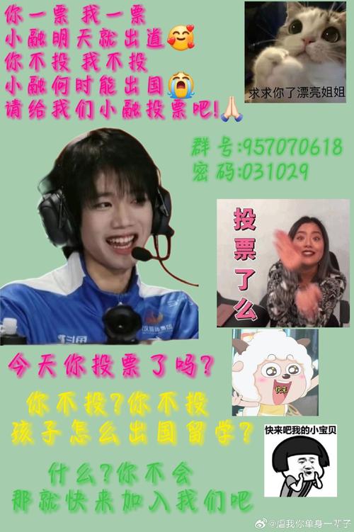 你一票、我一票，岳陽(yáng)縣明天就“出道”
