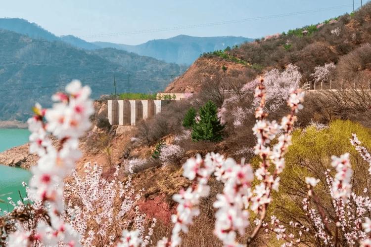 2025年4月2日 第11頁