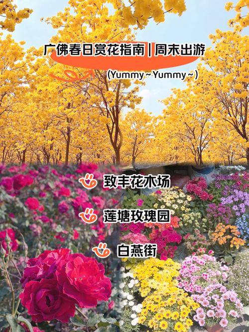 春日西岸怎么玩？三大藝術(shù)花海進入盛花期！