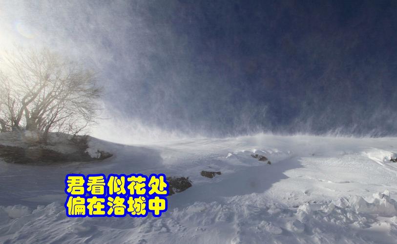 踏青？春游？渾源古城突降毛大雪，來賞花吧，賞個雪花！