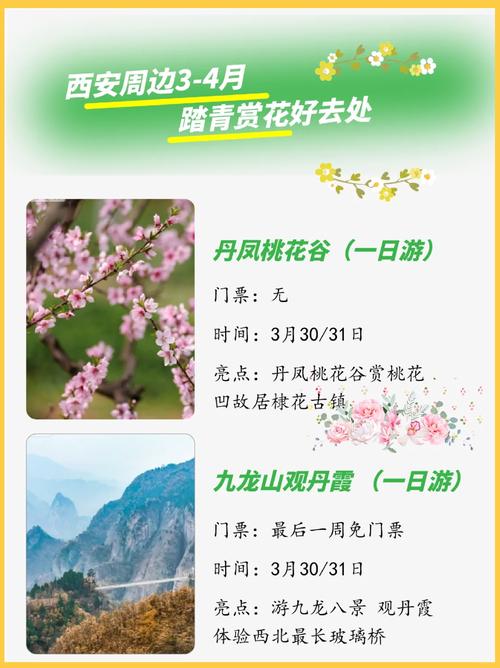 陜西清明假期出游預(yù)測：賞花游火爆，西安市井地標(biāo)成熱點(diǎn)