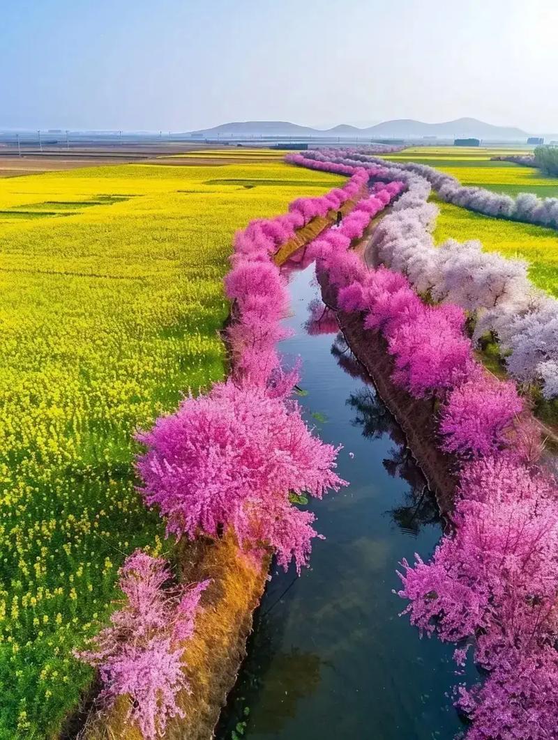 步步是美景！漢中春天的心思，全“花”在這里了~