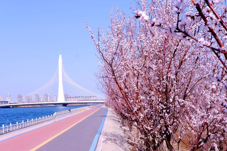 新野津灣桃花雖然迷人，桃園東邊白河風景更加優(yōu)美，散心絕佳之地