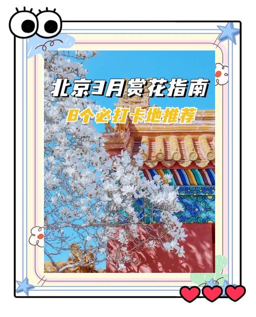 12條賞花線路來(lái)了！去通州賞花打卡正當(dāng)時(shí)
