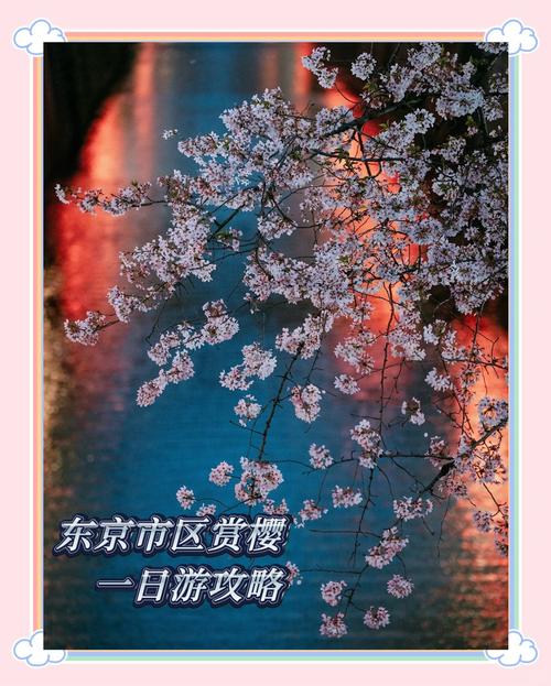 不花一分錢！天花板級(jí)賞櫻之旅！