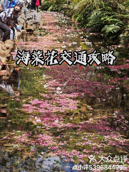 僅需55元/人！昆明公交推出豐澤植物園一日游活動(dòng)