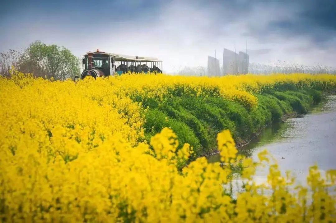 2025年4月3日 第7頁