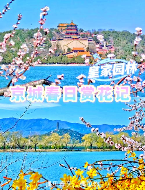 春日限定花海全紀(jì)錄！來景山公園看“中式浪漫天花板”