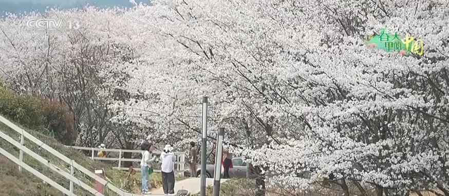 聽(tīng)音樂(lè)、賞美景、品美食…顏值”變“產(chǎn)值”激活鄉(xiāng)村春日消費(fèi)新場(chǎng)景