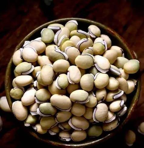 這種食物被贊為“祛濕第一豆”藥用、食用價(jià)值都很高！