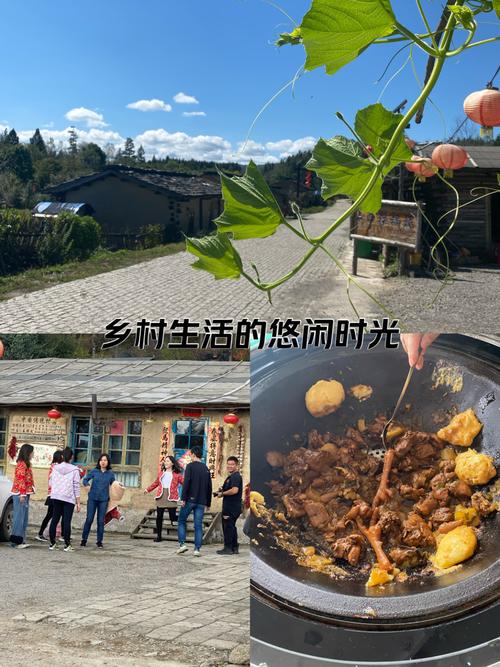 徐水區(qū)小西莊村內(nèi)漫游2025.4.3#記錄時(shí)光#原生態(tài)鄉(xiāng)村生活