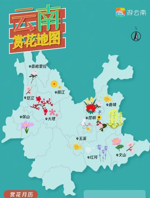 河北賞花地圖小程序上線！一鍵解鎖3000 景點，春日出行更AI