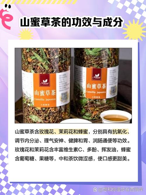 山路、蜜香與子夜鮮葉—云南春茶季的第四趟深山淬煉