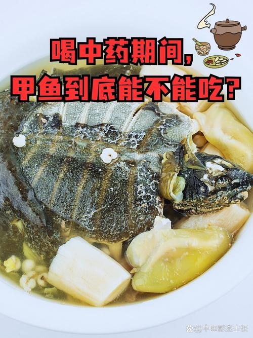 甲魚活了半輩子都不知道，配上這兩種食材，絕對是硬菜的天花板