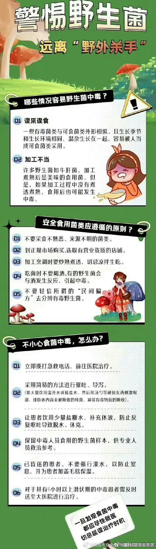 山東省健康科普專欄｜春日雖好莫要貪“鮮”警惕誤食野菜中毒！
