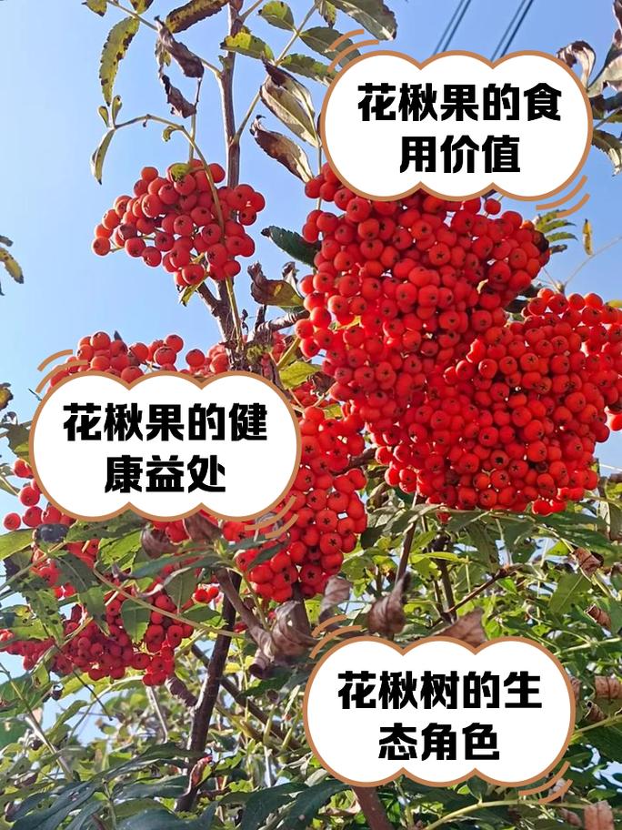 2025年4月12日 第2頁(yè)