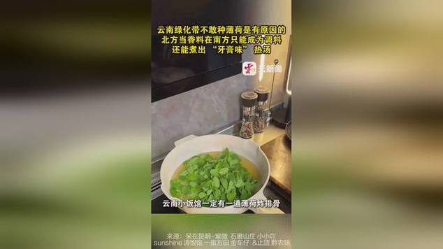 花樣百出的云南綠化帶，為啥沒有薄荷的身影