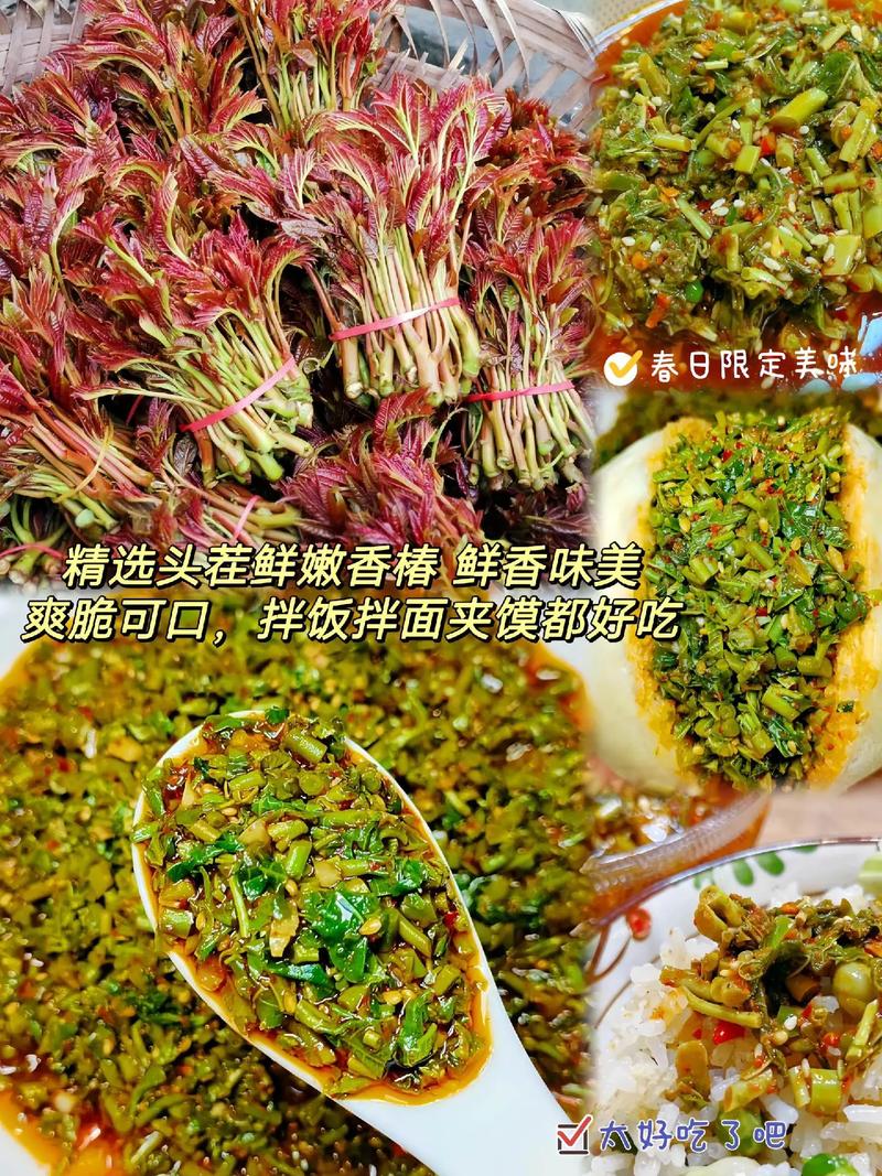 又到吃香椿芽的季節(jié)啦，你腌香春了嗎。內(nèi)容啟發(fā)搜索