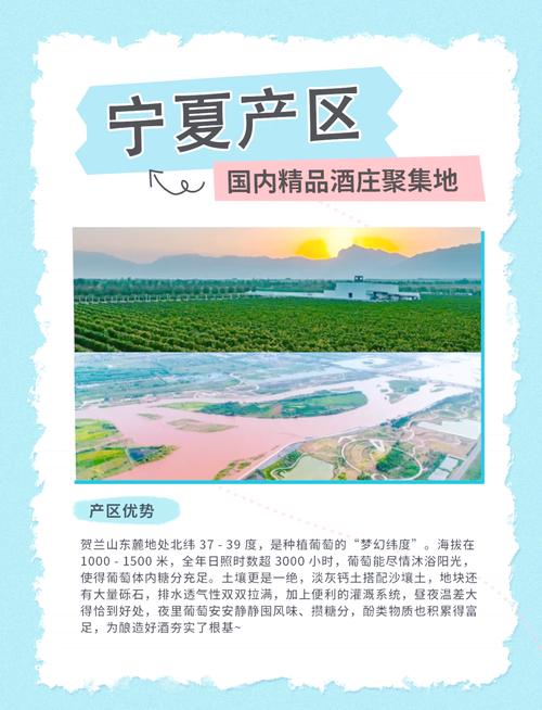 當(dāng)寧夏遇上了葡萄酒，賀蘭山東麓如何用一杯酒撬動(dòng)千億產(chǎn)業(yè)？