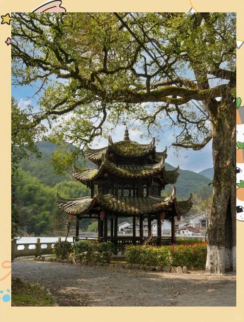浙江深山發(fā)現(xiàn)廢棄古寺，氣勢恢宏卻空無一物，里面到底藏了何秘密