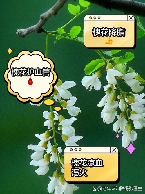 醫(yī)生提示：春天吃槐花，你需要了解的知識#又到了吃槐花的季節(jié)