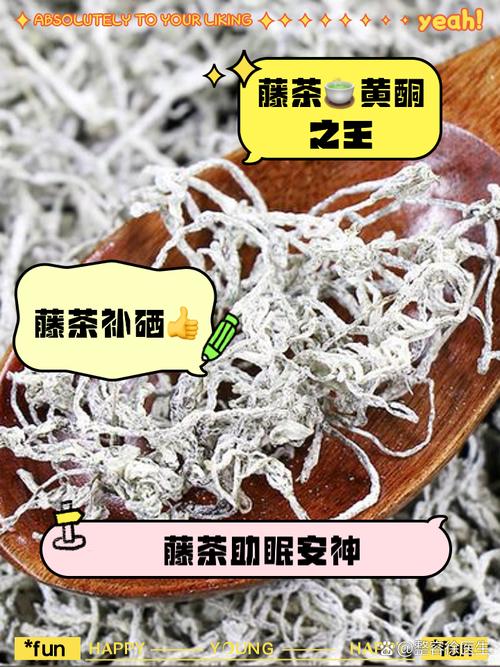 今天又曬干了一批野生藤茶，天氣炎熱泡上一杯藤茶喝，清熱解毒