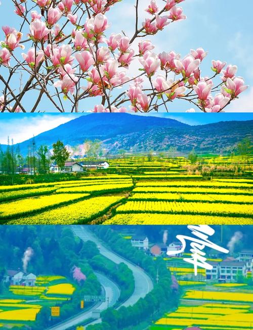 大美中國(guó) 走進(jìn)洋縣