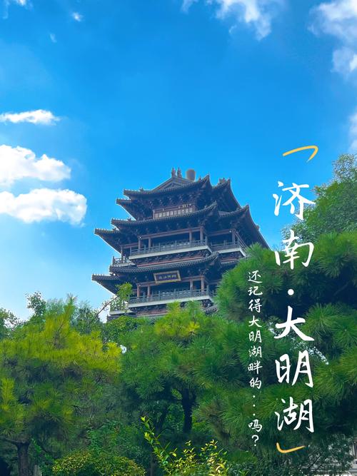 #抖音熱歌 抖音小助手 大明湖 濟南