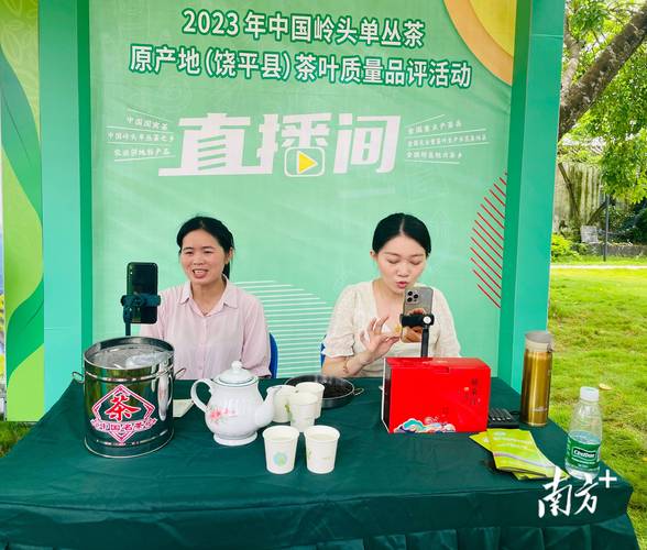 茶葉積壓源頭：大量直播間涌進(jìn)茶山，傳統(tǒng)茶企更加邊緣化！